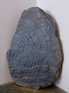 Tombstone for Borge\'s Assassinated Translator (Ahmad Miralaie), 2012. Engravingon stone, 32 x 23.5