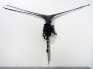 Senga Nengudi: Untitled, 2011. Nylon mesh, sand, mixed media, 5 ft x 6 ft x 8 in.