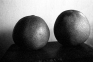 PAT Untitled (Fruit B/W, 2), 2007. Gelatin silver print, 7.75 x 11.5 in (image size), ed. of 7.