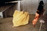 Freeway Fets, 1978. C-print, 12 x 18 in, edition of 5 (+1 AP). Documentation of performance and inst