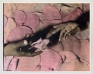 Meat Meet, 2013. Hand-tinted silver gelatin print, edition of 5 (+2 AP), 29.5 x 37.75 in.